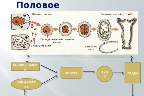 Восстановить аккаунт на кракене