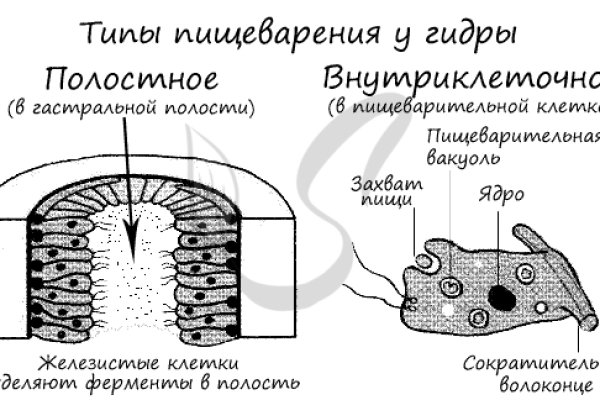 Кракен наркоторговля