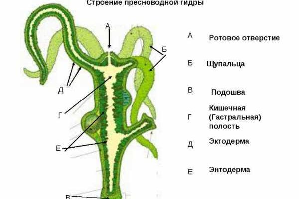 Кракен драг